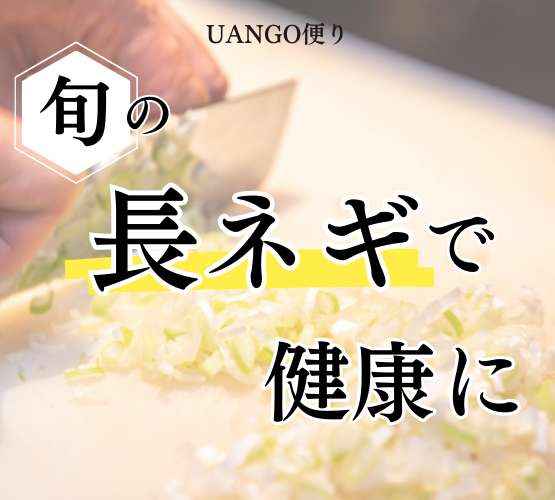 Vol.11 旬の長ネギで健康に