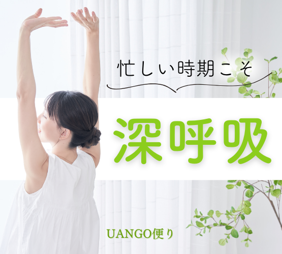 Vol.20 忙しい時期こそ深呼吸