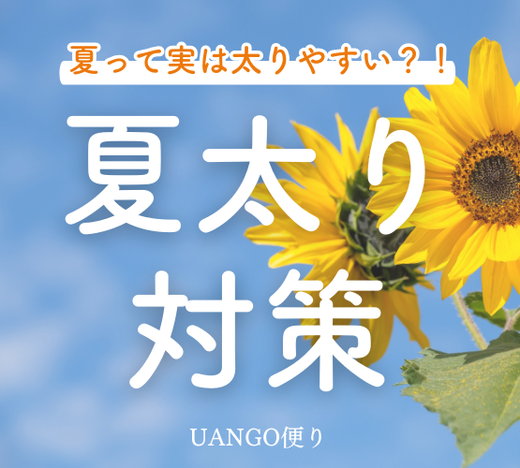 Vol.31 夏太り対策