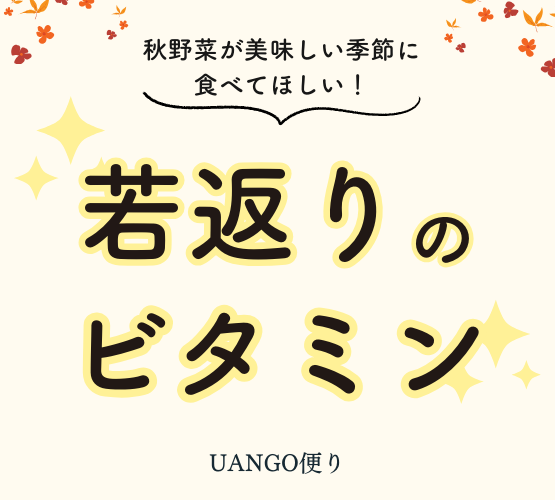 Vol.3 若返りのビタミン
