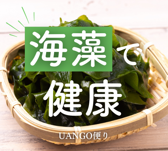 Vol.40 海藻で健康