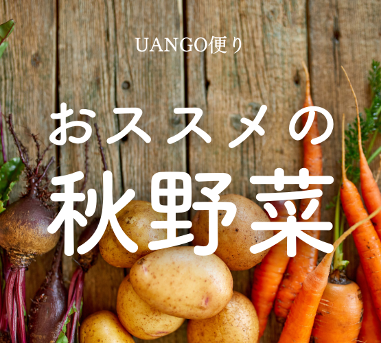 Vol41 おすすめの秋野菜